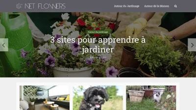 Net-flowers.com