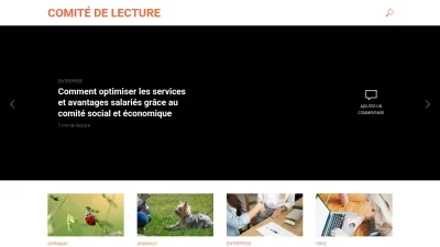 Comite-de-lecture.com