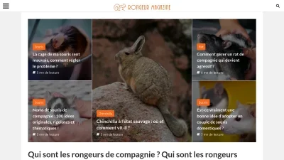 Rongeur Magazine