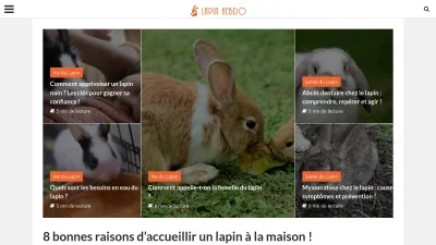 Lapin Hebdo