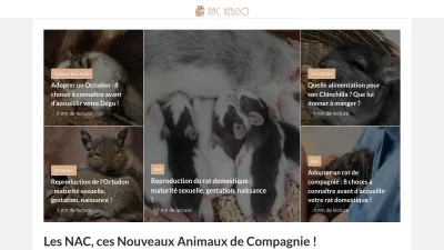 Nac-hebdo.com