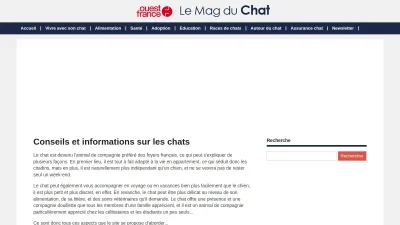 Le Mag des Chats