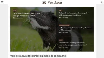 Pets Addict